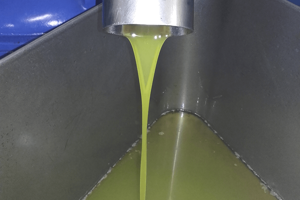 Estrazione olio evo