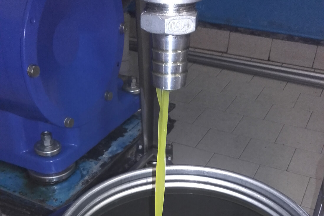 olive taggiasche frangitura