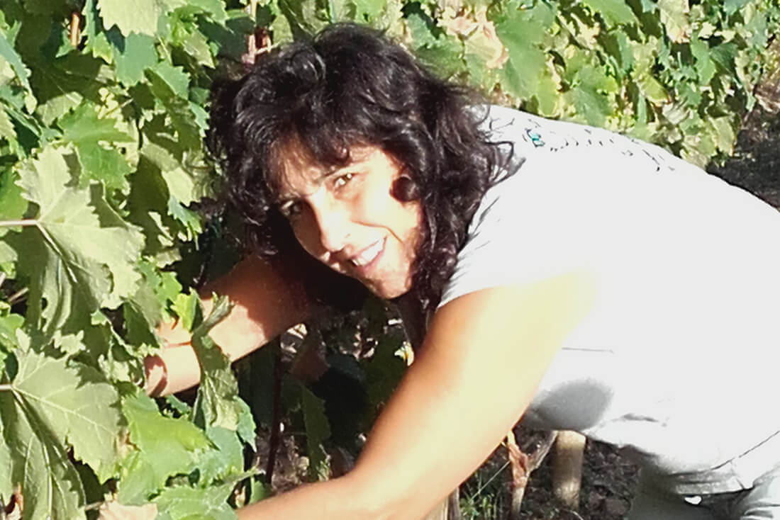 selezione uva pigato doc